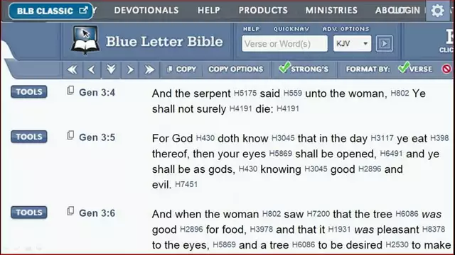 Genesis 3 Pt 1: The Image Disguise for the Hybrids