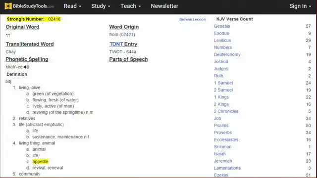 Genesis 3 Pt 2: Elohiym Warn About Beauty Cloak