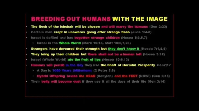 Genesis 3 Pt 2: Elohiym Warn About Beauty Cloak