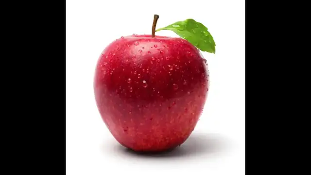 Part 24D: How to Survive the Plasma Catastrophy