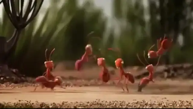 The way . . .