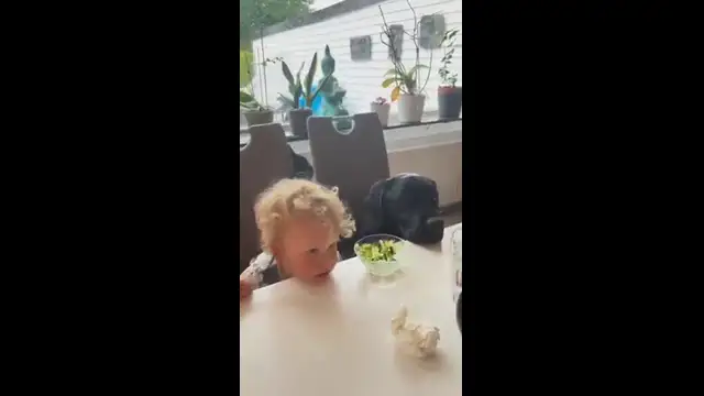 A little boy and his best friend. This will touch your heart. ❤️????????