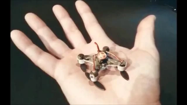 Slaughterbots will be used against us in the future.
