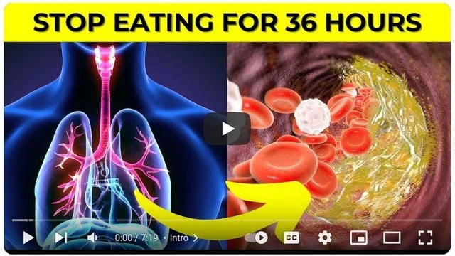 Doctors Hide It From You  This Is What Happens When You Stop Eating For 36 Hours...