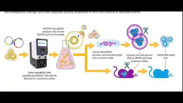 Electroporation mRNA Gene Editing - As in the days of Noah - Changing you into an abomination