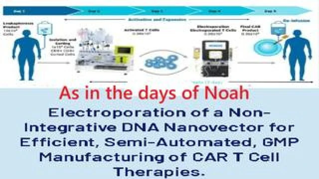 Electroporation mRNA Gene Editing - As in the days of Noah - Changing you into an abomination