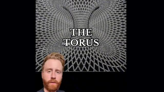 The Torus Field