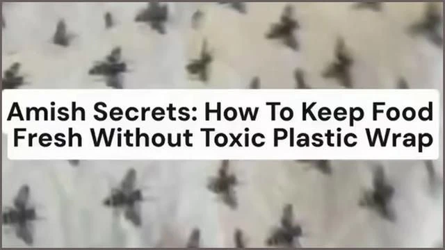 How The Amish keep their food fresh without plastic