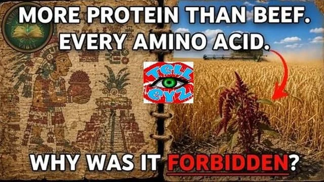 PLANT BANNED !!!! UNDER PENALTY OF DEATH !!!!
