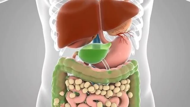 Got Belly Fat? This Bitter Tonic Empties Your Fatty Liver!