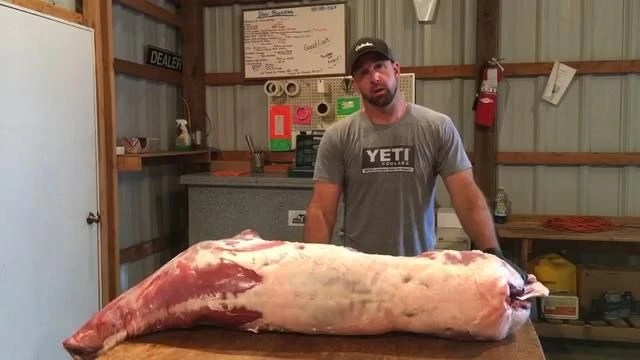 HOMESTEADING: DIY DEER PROCESSING [2025-12-14] - ADAM ELLER (VIDEO)
